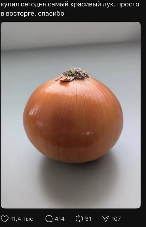 Самый красивый лук
