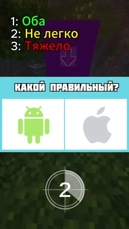 Авокадо решает головоломки
