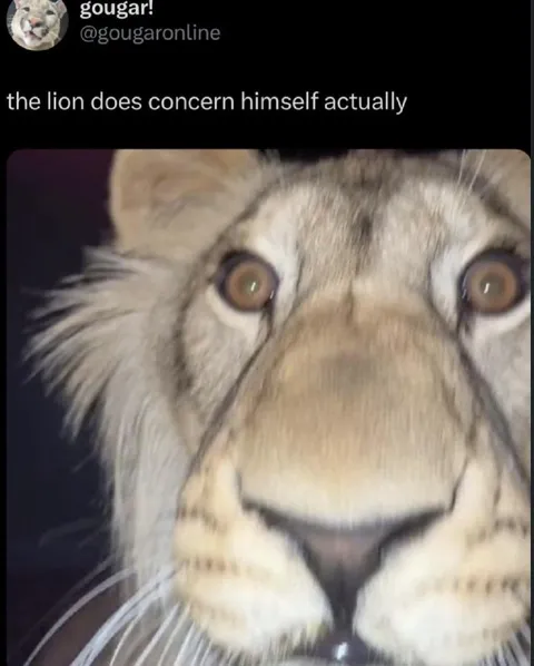 The Lion Does Concern Himself