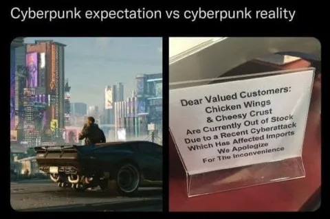 Cyberpunk Expectation vs Reality
