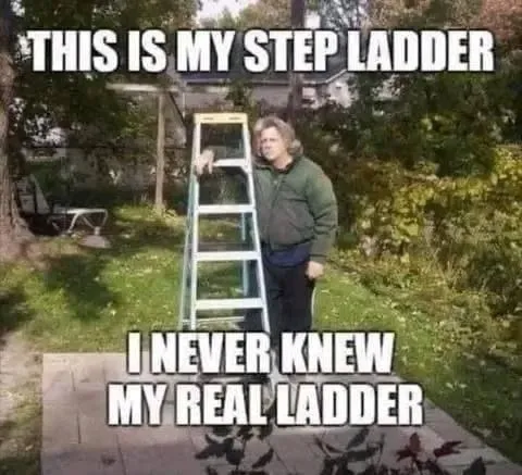 I Never Knew My Real Ladder