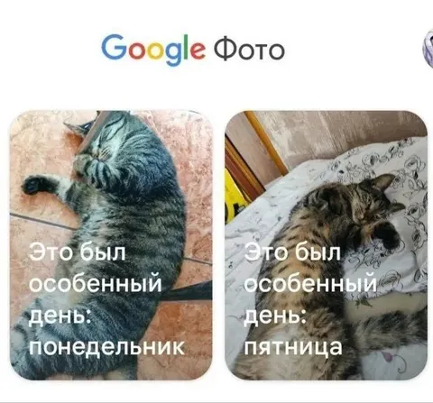 Особенный день: понедельник и пятница