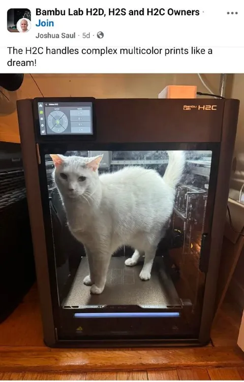 Cat Inside the 3D Printer