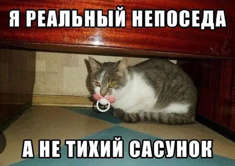 Реальный непоседа, а не тихий сасуночок