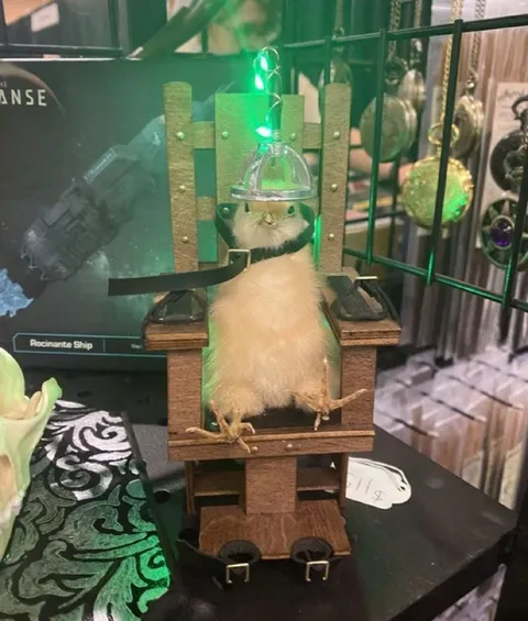 Mouse in the Electric Chair