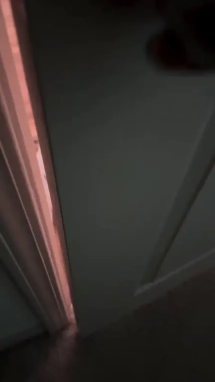 Cat Waiting at the Door