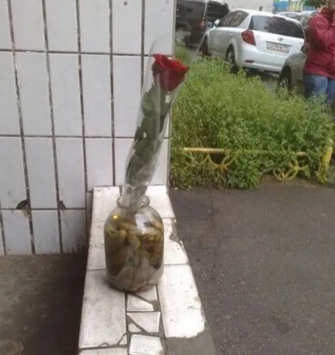 Роза в банке с огурцами