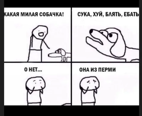 Милая собачка из Перми