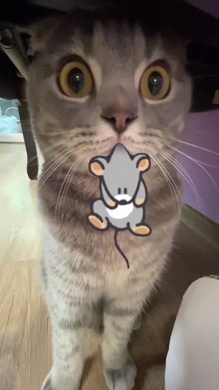 Кот и танцующая мышка