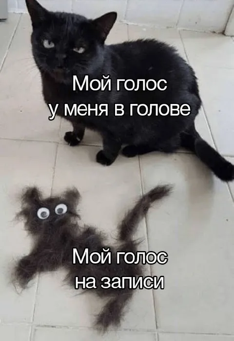 Голос в голове и на записи