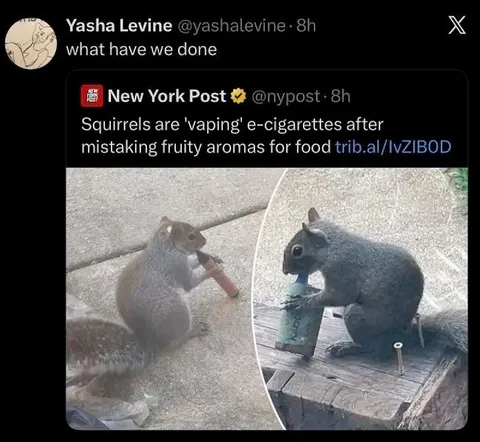 Squirrels Mistake Vapes for Food