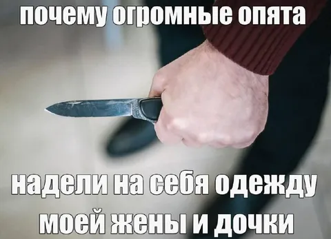 Огромные опята надели одежду
