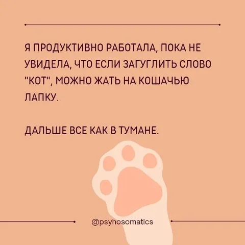 Котачья лапка и туман