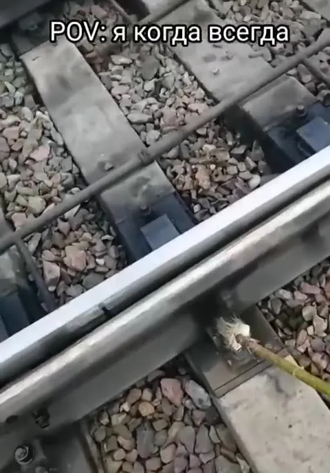 POV: я когда всегда