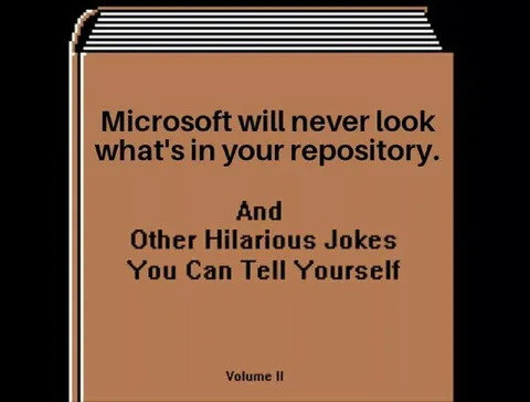 Microsoft Repository Privacy Joke
