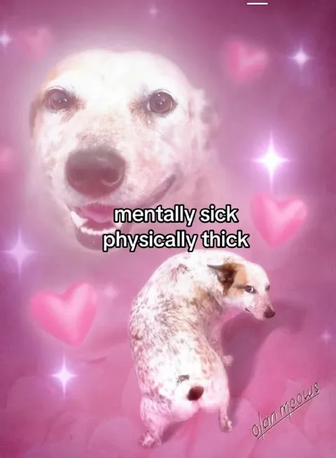 Mentally Sick Physically Thick Dog