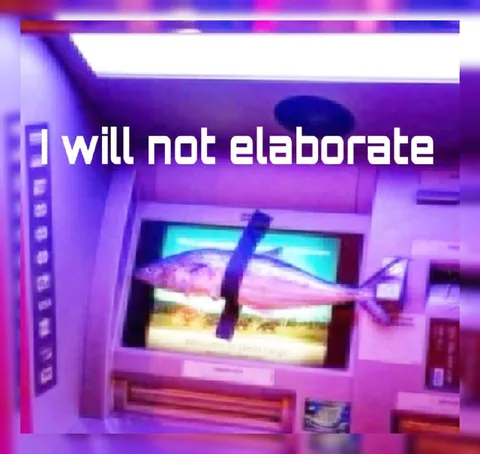 I Will Not Elaborate