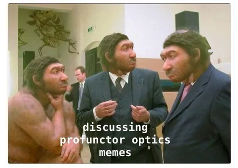 Discussing Profunctor Optics Memes