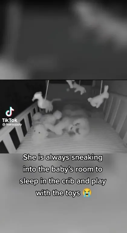 Cat Sneaks Into the Baby’s Crib