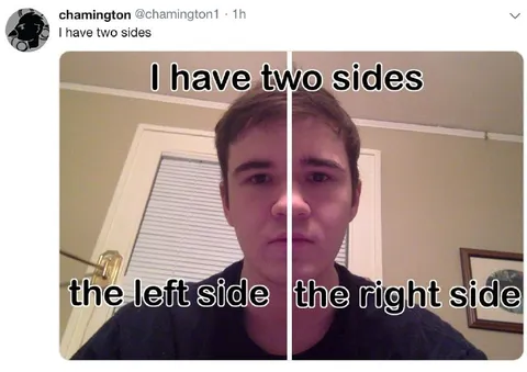 I Have Two Sides Meme