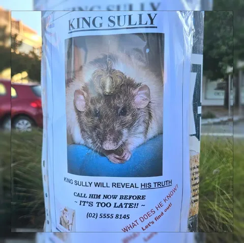King Sully Will Reveal His Truth