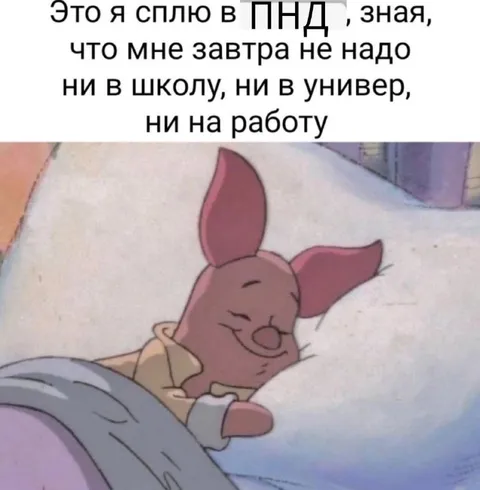 Сплю, потому что завтра никуда