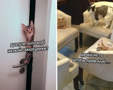 Клуб низкой самооценки