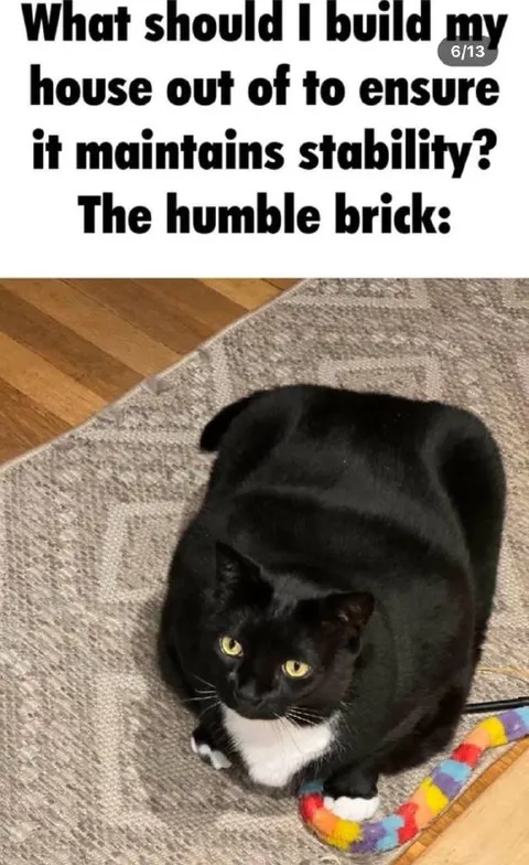 The Humble Brick Cat