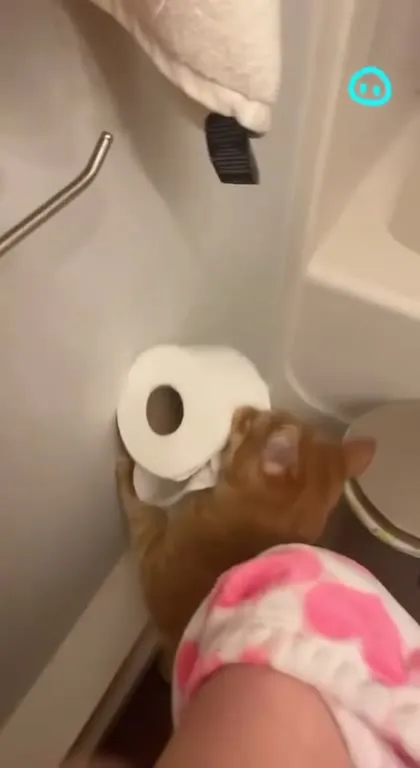Milo Steals the Toilet Paper