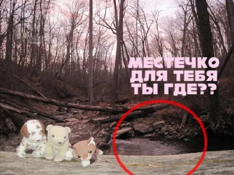 Местечко для тебя