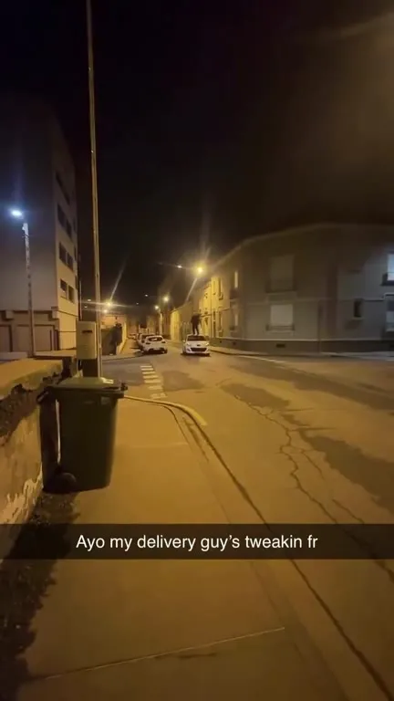 Delivery Guy Wipes Out