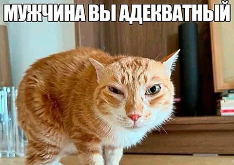 Мужчина, вы адекватный?