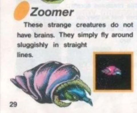 Zoomer Flies in Straight Lines