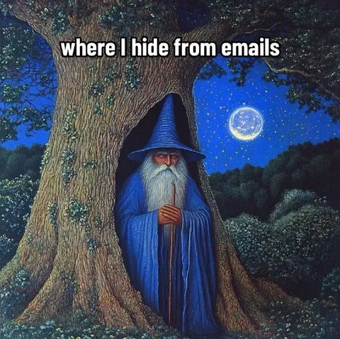 Wizard Hiding From Emails