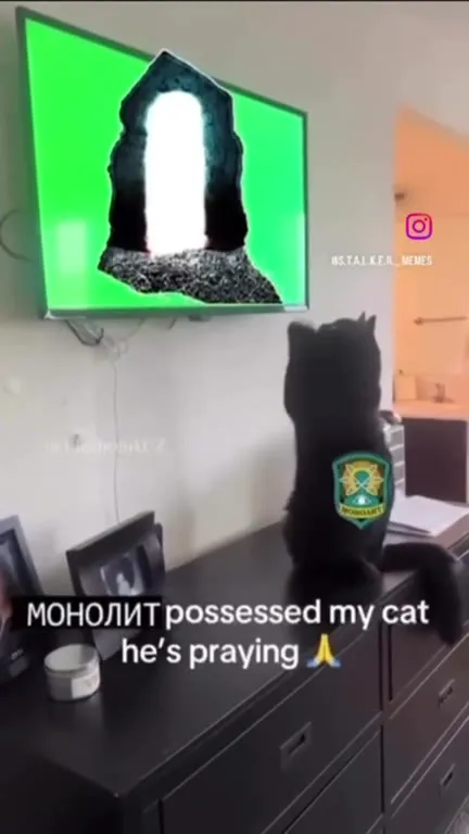 My Cat Prays to Monolith