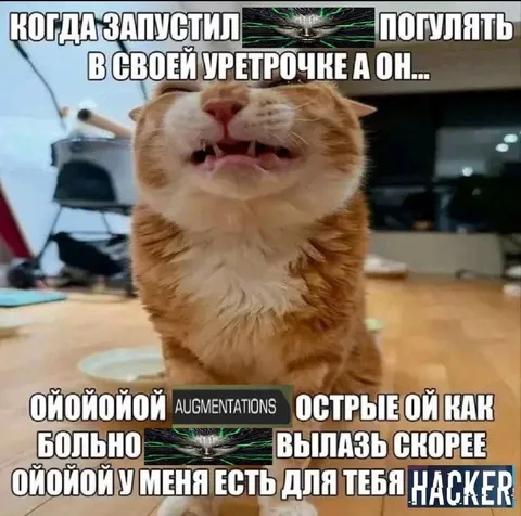 Кот застрял в уретрочке