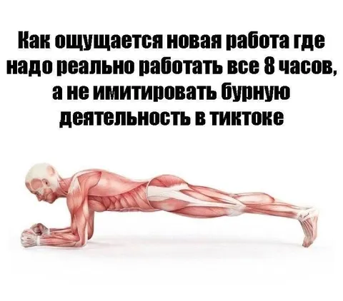 Новая работа — это планка