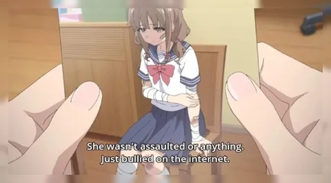 Bullied on the Internet