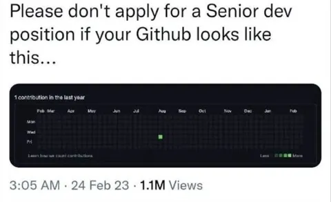 One GitHub Contribution Senior Dev