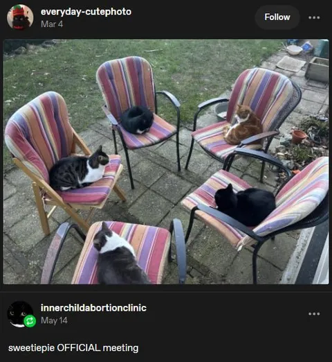 Sweetiepie Official Meeting