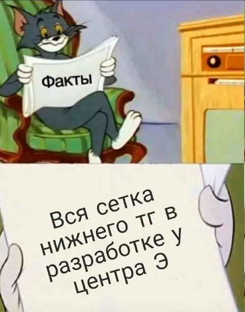 Факты про сетку нижнего ТГ