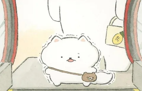 Котик едет в поезде