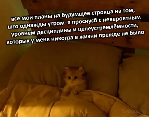Планы на будущее и дисциплина
