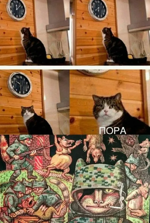 Коту пора на войну