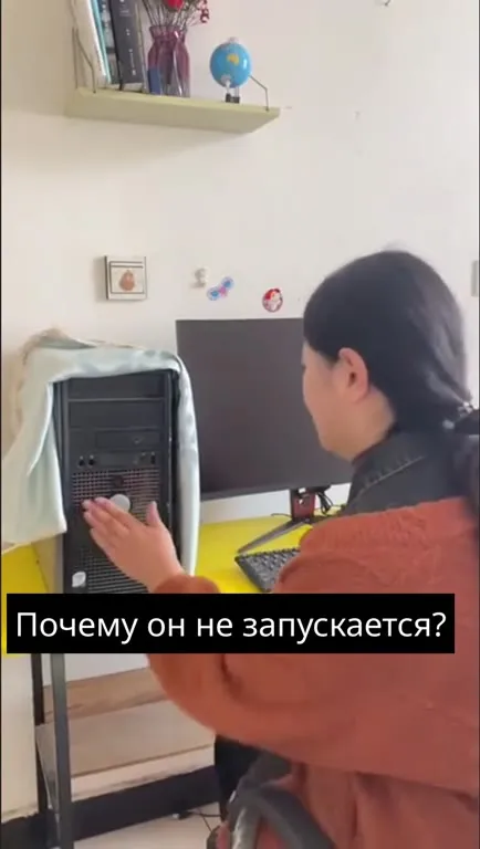 Петух вместо компьютера