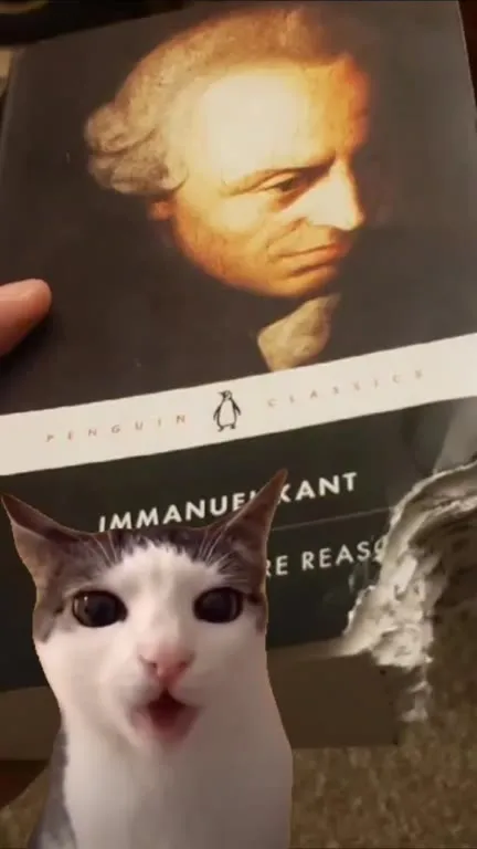 Cat Reads Kant