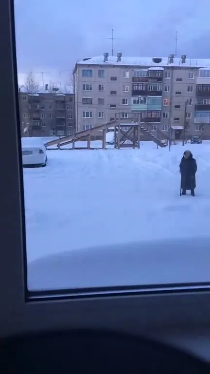 Бабушка в эпичном снежном клипе