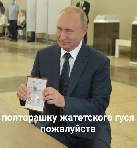 Полторашку жатецкого гуся