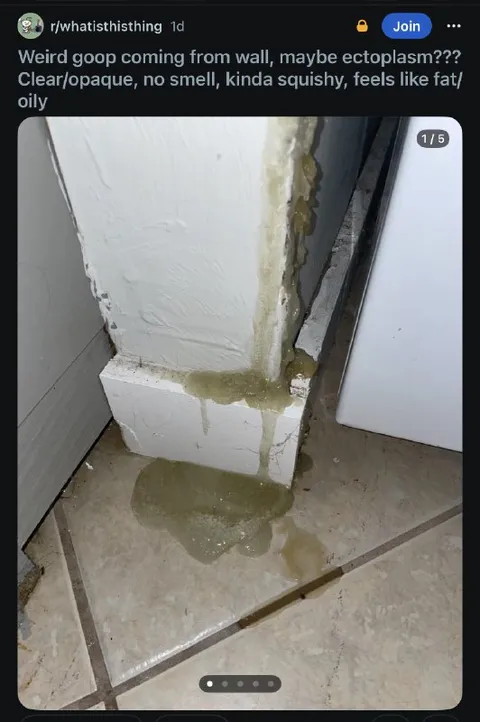 Mysterious Wall Goop