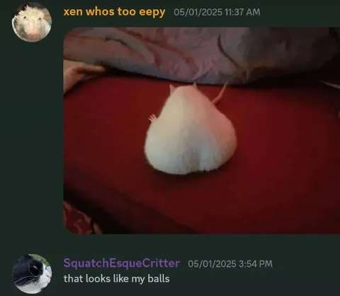 Garlic Looks Like My Balls